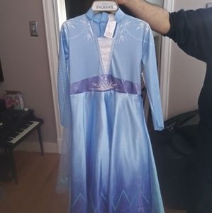 Elsa frozen dress costume